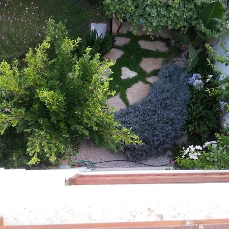 Smart Aparts Kalkan Bagian luar foto