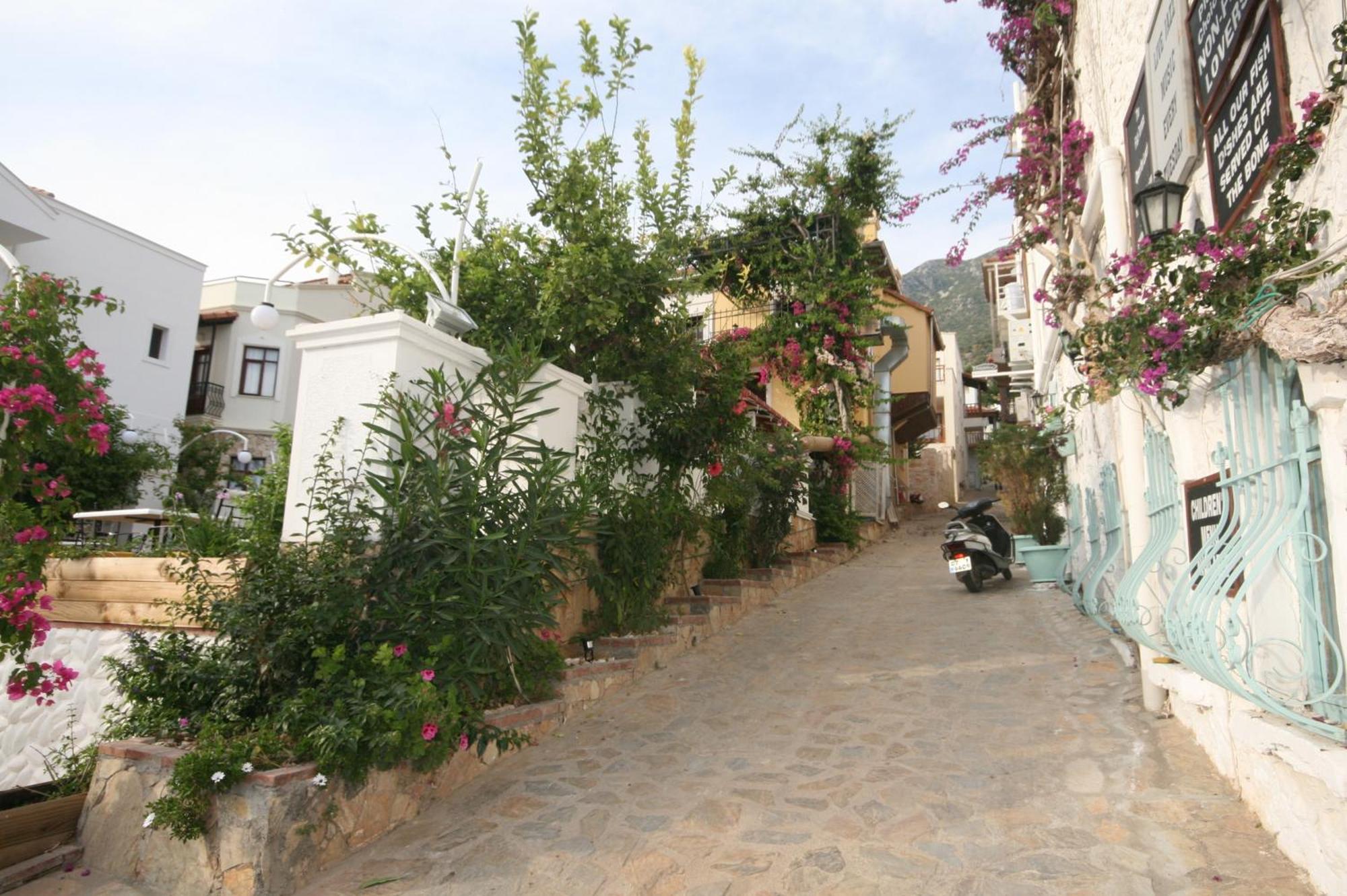 Smart Aparts Kalkan Bagian luar foto