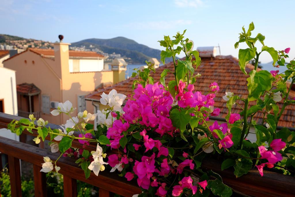 Smart Aparts Kalkan Bagian luar foto